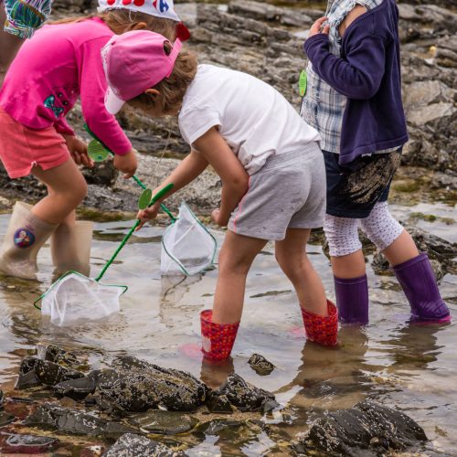 Exploration de l’estran rocheux et pêche à pied