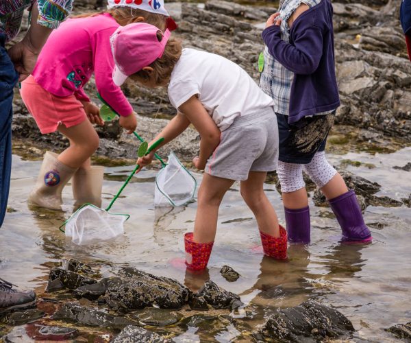 Exploration de l’estran rocheux et pêche à pied