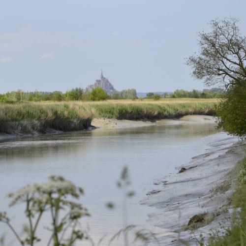 Rando crépusculaire : le chant des marais
