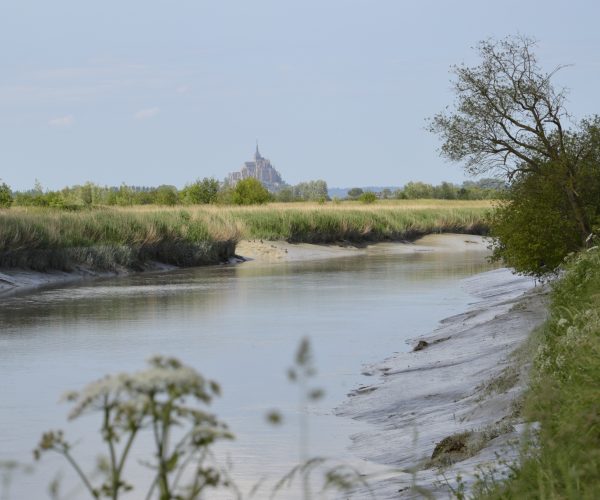 Rando crépusculaire : le chant des marais