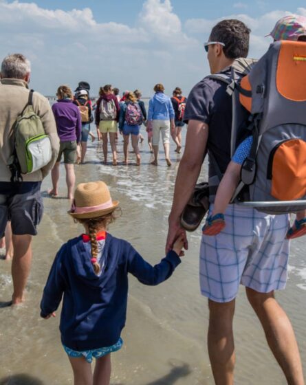 Sorties pour les enfants