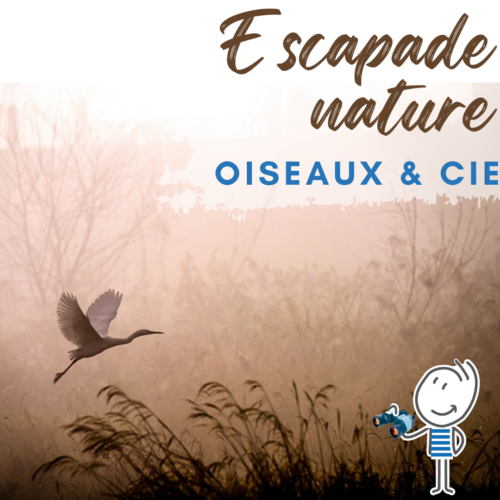 Escapade nature : oiseaux & Cie