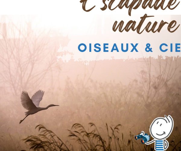 Escapade nature : oiseaux & Cie