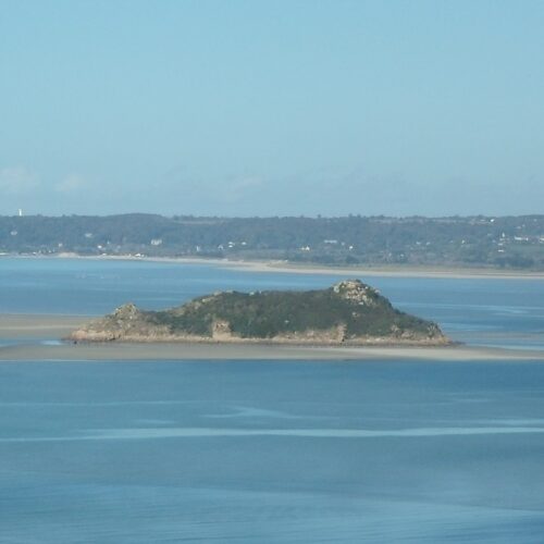 Tombelaine : une colonie d&rsquo;oiseaux nicheurs prospère